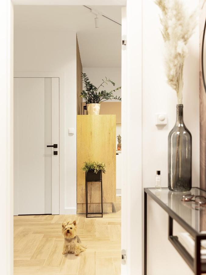 Nadmorski Z Ogrodkiem I Sauna Apartment Mechelinki